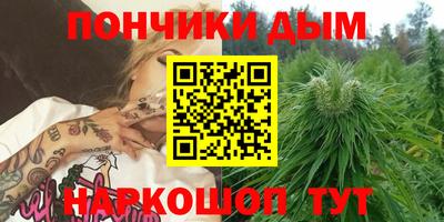 МДПВ Моздок