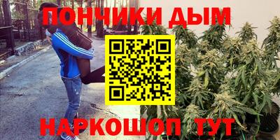 спиды Можга