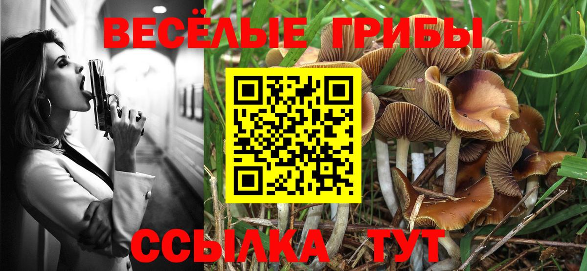 Псилоцибиновые грибы MAGIC MUSHROOMS Вязники