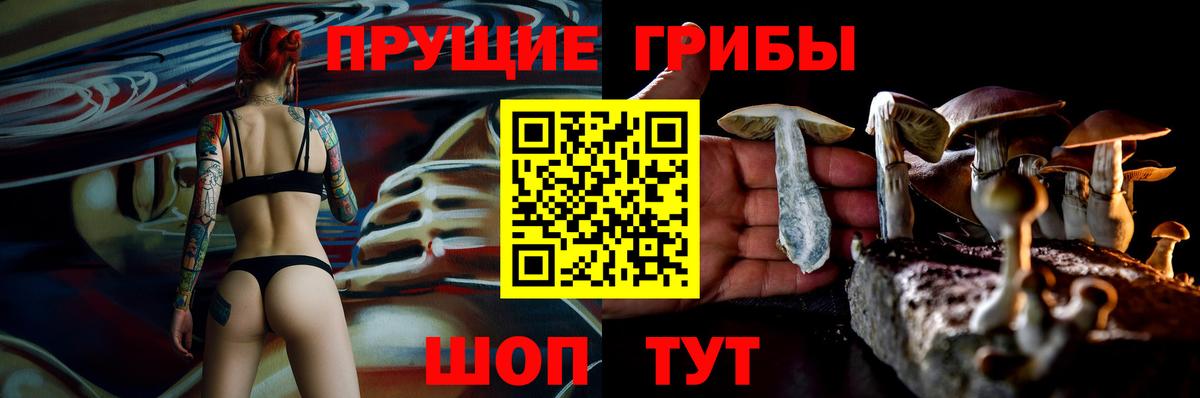Галлюциногенные грибы MAGIC MUSHROOMS  Вход с VPN  Вязники 